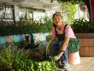 �f�Ȣw�����p